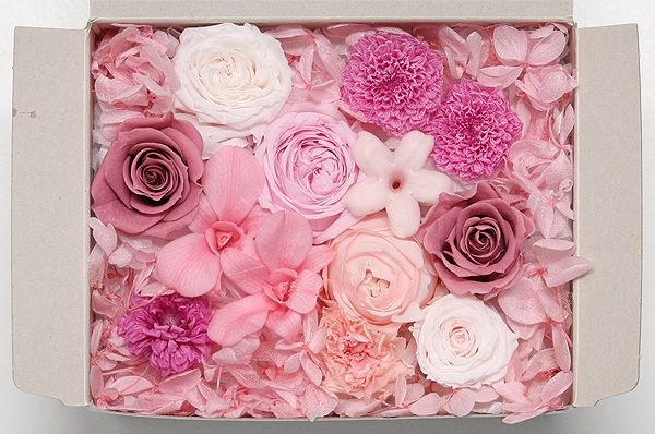 OutletۥȥåȥȎԥ󥯷 D