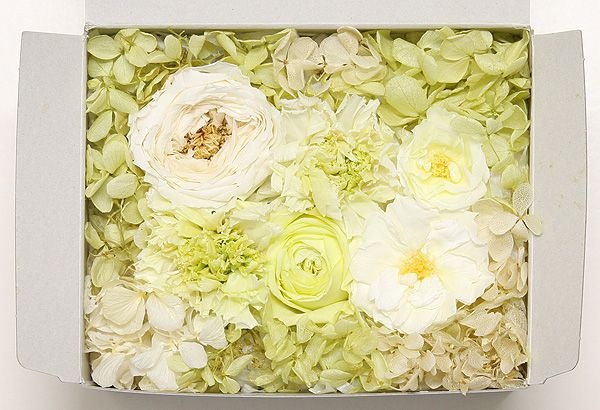 OutletۥȥåȥȎ꡼ X