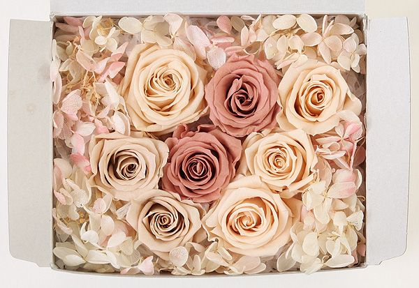 OutletۥȥåȥȎԡ I