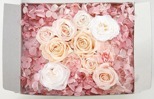 OutletۥȥåȥȎԥ󥯷 H