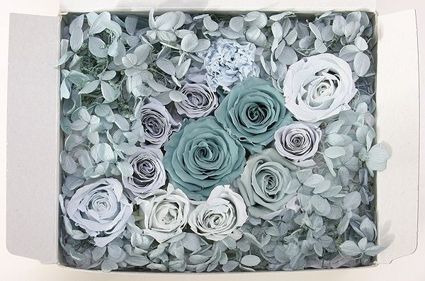 OutletۥȥåȥȎ֥롼 B