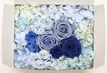 【Outlet】アウトレットアソート・ブルー系 F