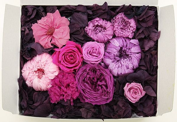 OutletۥȥåȥȎԥ󥯷 Q