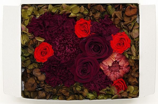 OutletۥȥåȥȎåɷ K