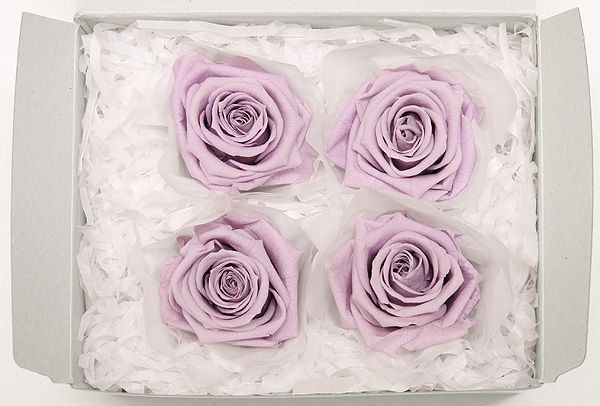 OutletFe ǥʥեȥ饤å (4)