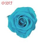 【小分け】Florever メディアナローズ(2) カリビアンブルー