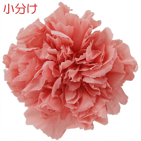 ھʬFlorever ͡(3) ԥ󥯥ѡ