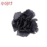 ھʬFlorever ߥ˥͡(4) å奰졼