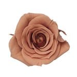 �������� ��������������(9) �ԥ󥯥⥫