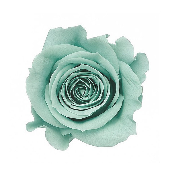 �������� ��������������(9) �ߥ�ȥ֥롼