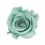 �������� ��������������(9) �ߥ�ȥ֥롼