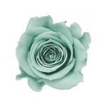 �������� ��������������(9) �ߥ�ȥ֥롼