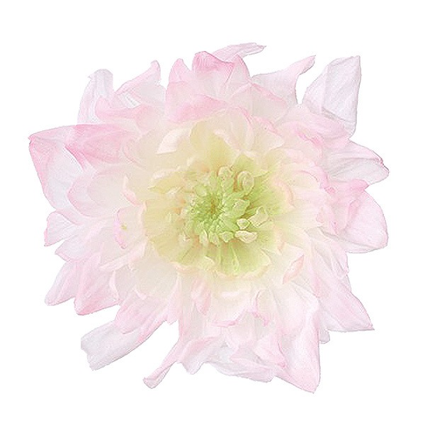 �������� ���Ȥ͵�(6) �ԥ�