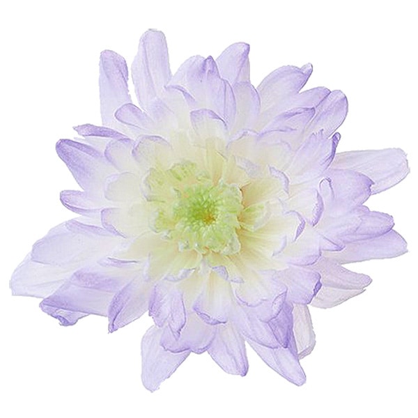 �������� ���Ȥ͵�(6) �ѡ��ץ�