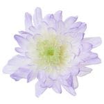 �������� ���Ȥ͵�(6) �ѡ��ץ�