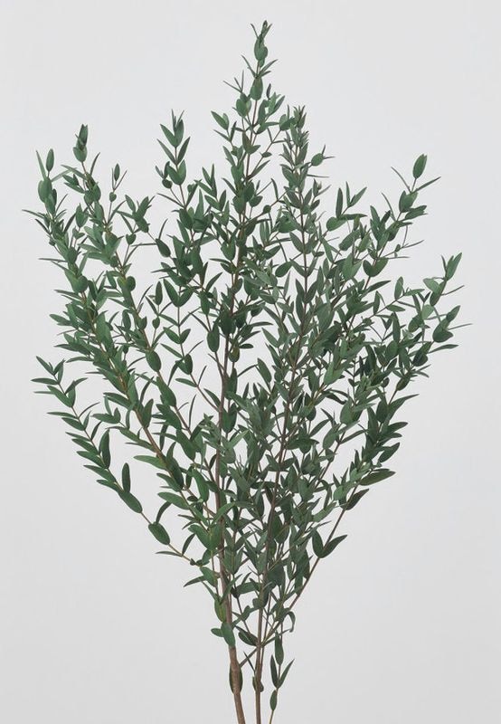 �������� ���ե桼����(��) �ߥ��ȥ��꡼��