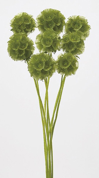 �������� ���ƥ�󥯡����� �Х��륰�꡼��