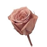 �������� �ӥӥ���(24) �ԥ󥯥⥫