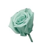 �������� �ӥӥ���(24) �ߥ�ȥ֥롼