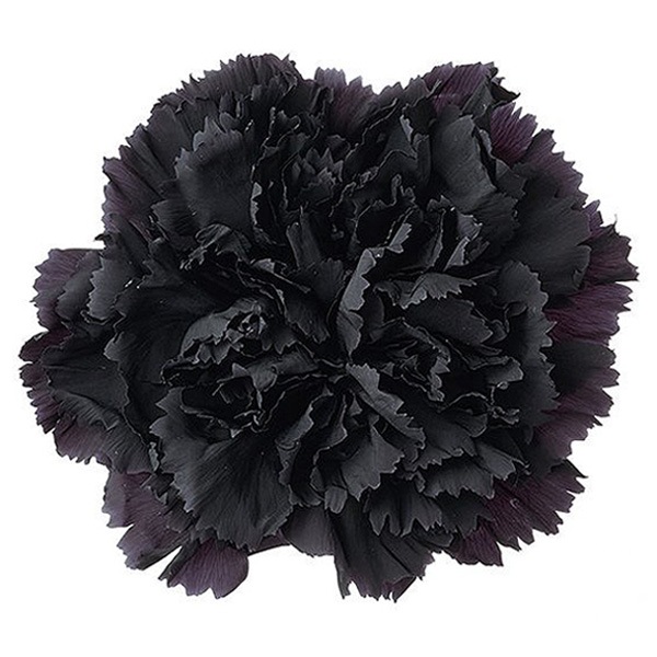 �������� �����͡������(8) ��