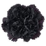 �������� �����͡������(8) ��