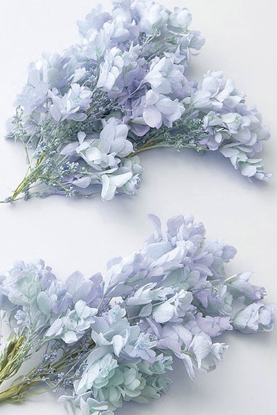 �������� ������Х����������إå� �֥롼�ѡ��ץ�