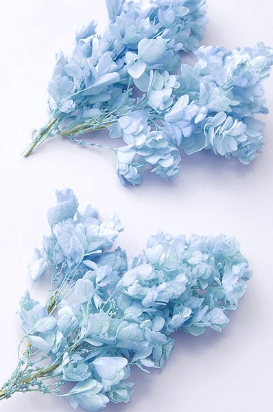 �������� ������Х����������إå� �֥롼������