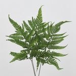 �������� �ҥ���ӎ��ץꥶ���֥�(�Ѹ���) ���꡼��