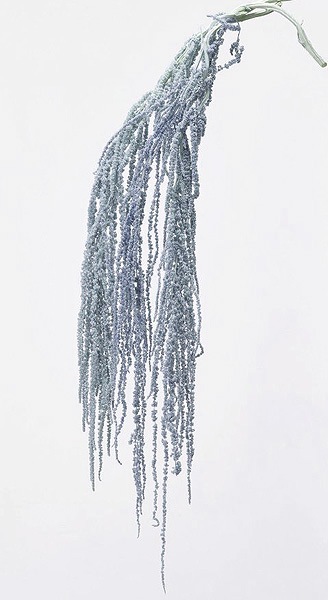 �������� �ҥ⥲���ȥ� �ߥ��ȥ֥롼