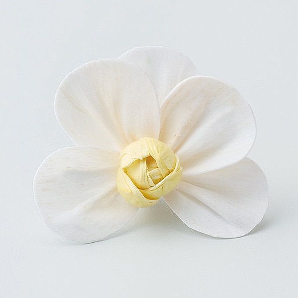 �������� �����顼�����祦��� �ۥ磻�ȥ�������