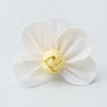 �������� �����顼�����祦��� �ۥ磻�ȥ�������