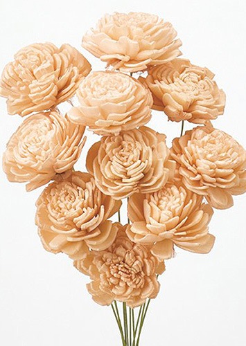 �������� �����顼���������� ���㡼�٥åȥԡ���