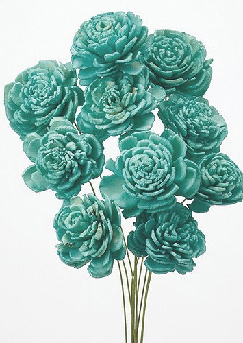 �������� �����顼���������� ���Х�ȥ��꡼��