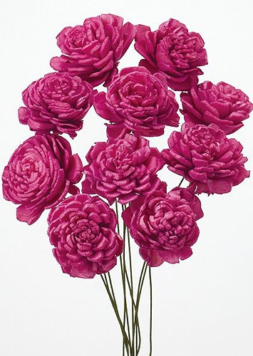 �������� �����顼���������� �饺�٥꡼