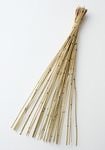 �������� �ѥ�꡼�ɡ����硼�� N