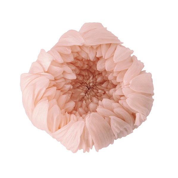 �������� �صƎ���(6) ���륭���ԥ�