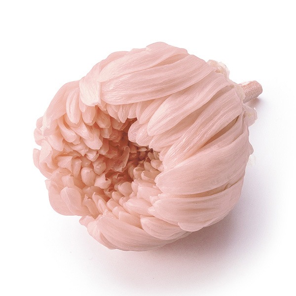 �������� �صƎ���(6) ���륭���ԥ�