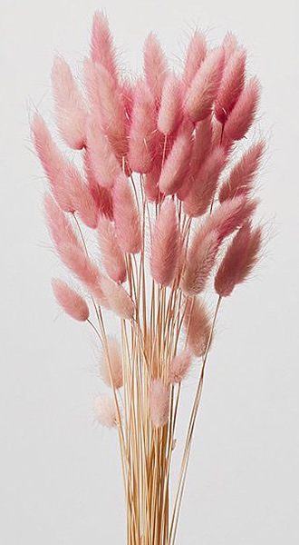 �������� �饰�饹���ġ��ȥ� �������ԥ�