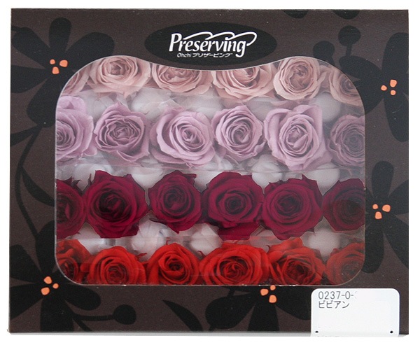 <@needs>�������� ���������ӥӥ��󎥥��ꥸ�ʥ륢������(6x4) �Х饨�ƥ����ߥå��� C