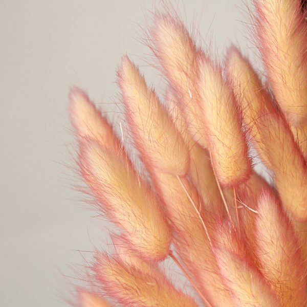 �������� �饰�饹���ġ��ȥ� ���������ԥ�