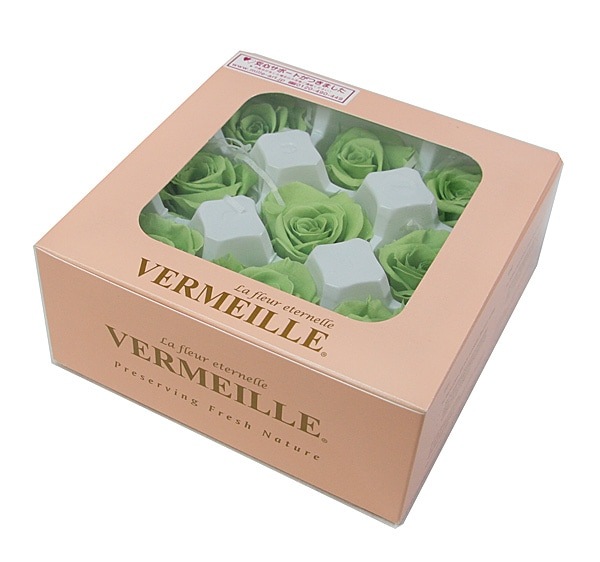 ��Outlet��ROSAVIE �����ͥ����ߥ�(9) �ץ졼�꡼���꡼��