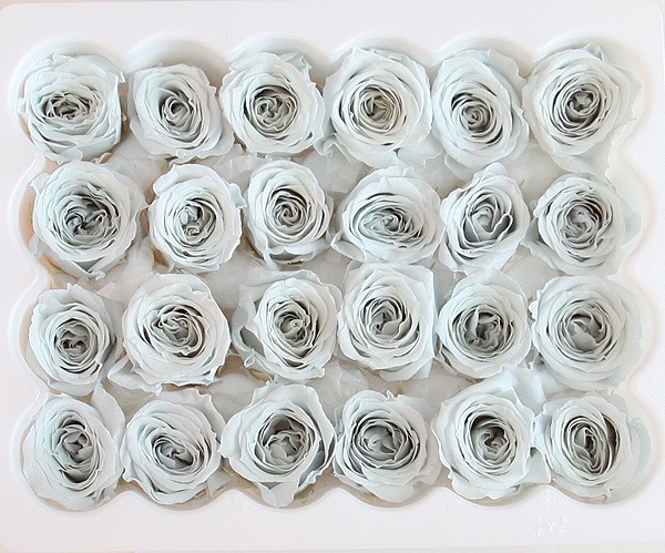 ��Outlet��ON �ӥӥ��󎥥٥ӡ��֥롼