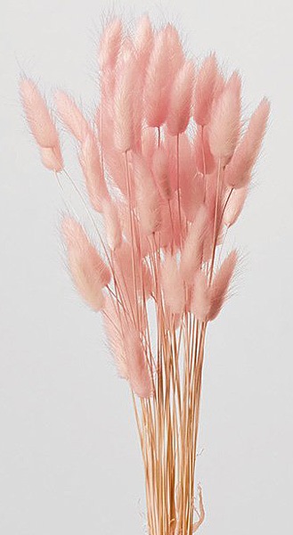 �������� �饰�饹���ġ��ȥ� �ۥ磻�ȥԥ�