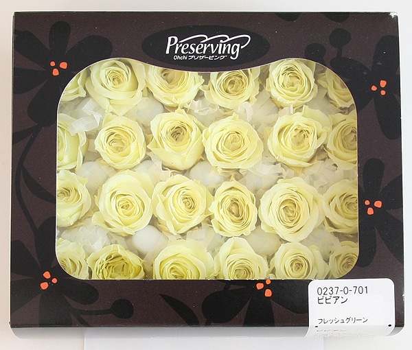 ��Outlet��ON �ӥӥ��󎥥ե�å��奰�꡼��