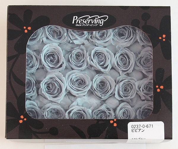 OutletON ӥӥ󎥥ߥȥ֥롼