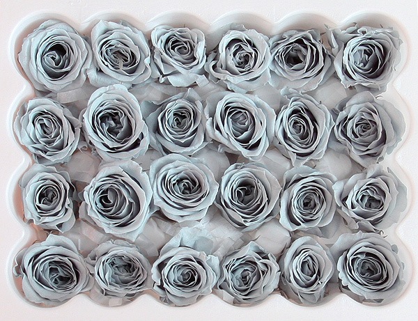 OutletON ӥӥ󎥥ߥȥ֥롼