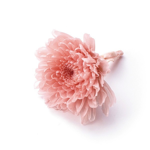 �������� ����(12) ���륭���ԥ�