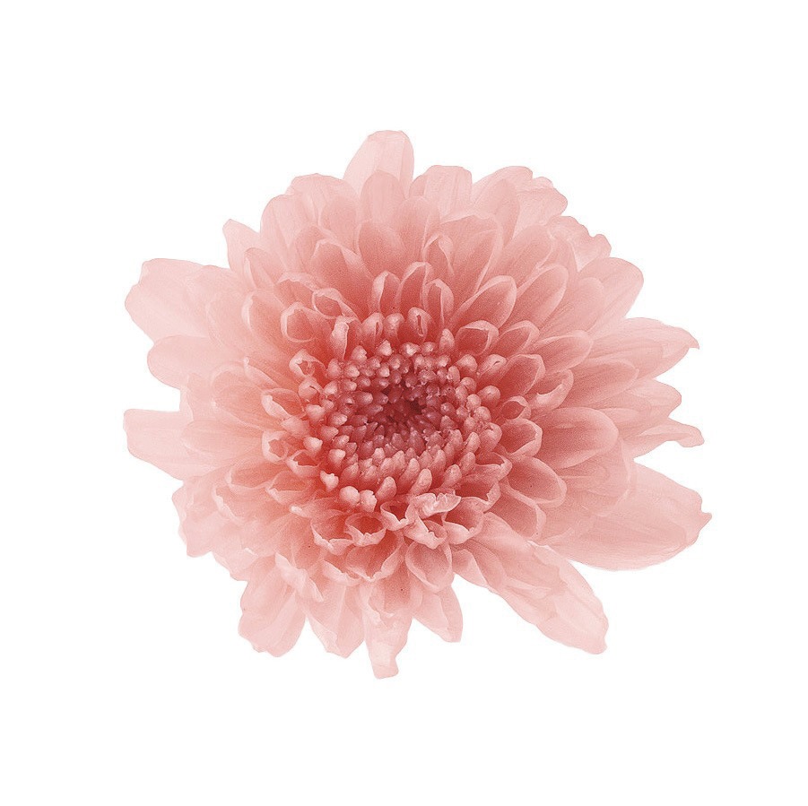 �������� ����(12) ���륭���ԥ�