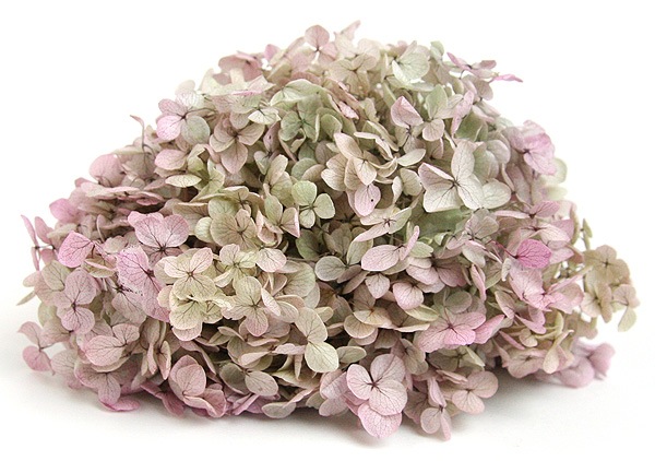 �������� ���ʥ٥뎥�إå�(����ǡ������ù�) ���쥬�Υԥ�