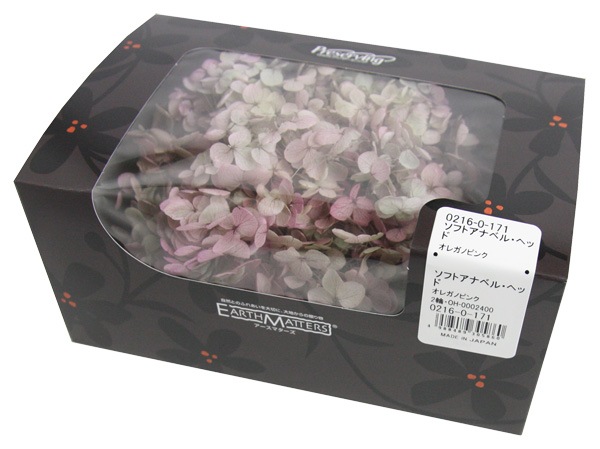 �������� ���ʥ٥뎥�إå�(����ǡ������ù�) ���쥬�Υԥ�